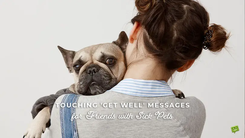 60 Touching ‘Get Well’ Messages for Friends with Sick Pets